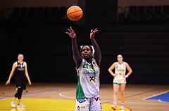 02.03.2024, Graz, Raiffeisen Sportpark, Basketball Damen Superliga 2023/24, Grunddurchgang 14.Runde, UBI Holding Graz - Basket Flames Women ,  