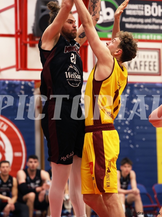 Basketball Zweite Liga 2024/25, Grunddurchgang 22.Runde Traiskirchen Lions NextGen vs. Mistelmach Mustangs