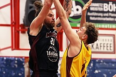 Basketball Zweite Liga 2024/25, Grunddurchgang 22.Runde Traiskirchen Lions NextGen vs. Mistelmach Mustangs


