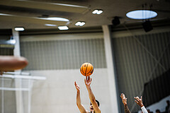 Basketball, Basketball Zweite Liga 2024/25, Grunddurchgang 3.Runde, Vienna Timberwolves, Vienna United, Bruno Golino (3)