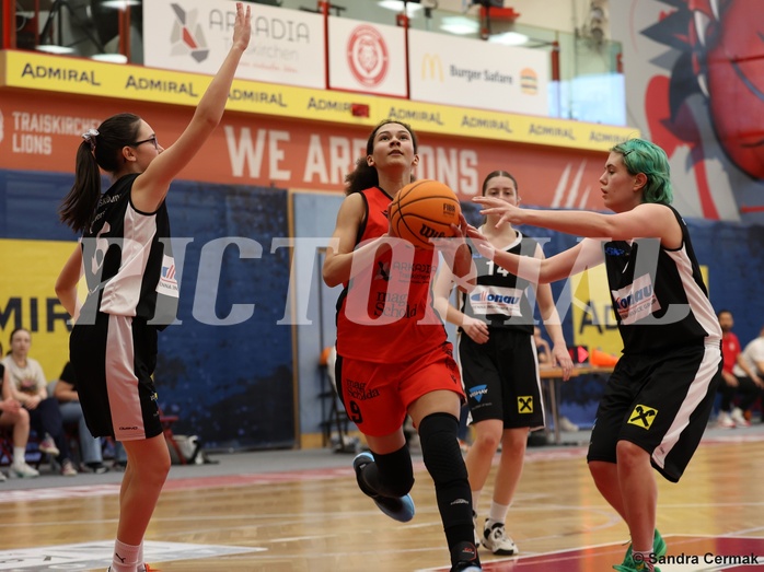 Basketball Superliga 2024/25, SLWU16 Traiskirchen Lionesses vs. DBK Steyrer Witch Cadets


