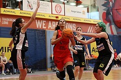 Basketball Superliga 2024/25, SLWU16 Traiskirchen Lionesses vs. DBK Steyrer Witch Cadets


