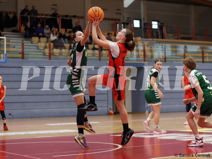 Basketball Superliga 2024/25, SLWU14 Traiskirchen Lionesses vs. UBI Graz



