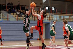 Basketball Superliga 2024/25, SLWU14 Traiskirchen Lionesses vs. UBI Graz


