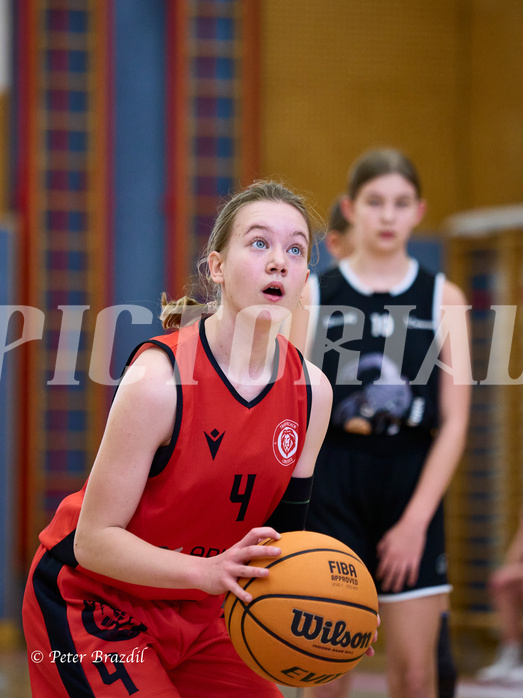 Basketball Superliga 2024/25, SLWU14 Traiskirchen Lionesses vs. Gratkorn Scorpions


