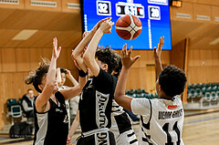 22.03.2025 Österreichischer Basketballverband 2024/25, SLMU14, Vienna Giants vs. BBC Nord Dragonz 