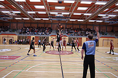 Basketball Zweite Liga 2024/25, Grunddurchgang 21.Runde Mistelbach Mustangs vs. Raiders Tirol


