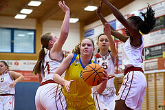 Basketball Superliga 2024/25, SLWU16 Traiskirchen Lionesses vs. UBBC Herzogenburg


