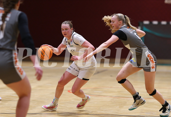 Basketball Damen Superliga 2023/24, Grunddurchgang, 13 Runde Basket Flames vs. Duchess Klosterneuburg


