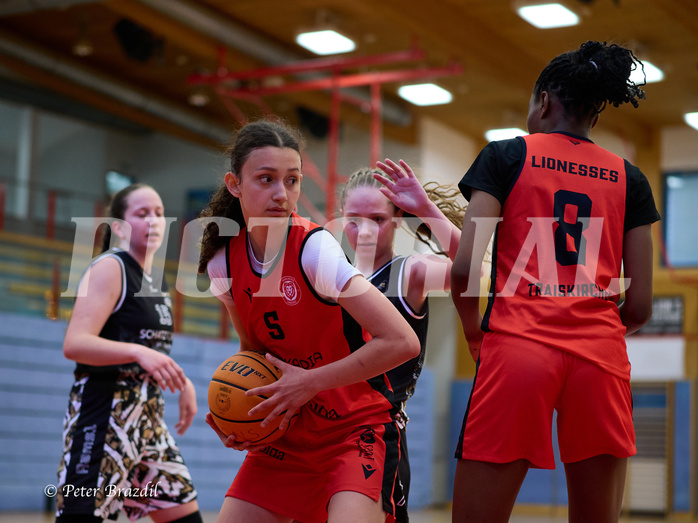 Basketball Superliga 2024/25, SLMU16 Traiskirchen Lionesses vs. VKL Vikings Kammer


