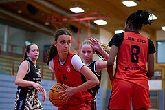 Basketball Superliga 2024/25, SLMU16 Traiskirchen Lionesses vs. VKL Vikings Kammer


