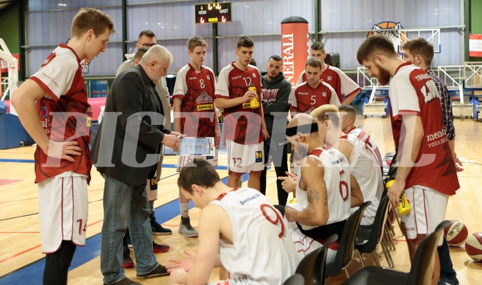 03.02.2019 Basketball ABL 22. Runde   DC Timberwolves vs Traiskirchen Lions 
Im Bild: