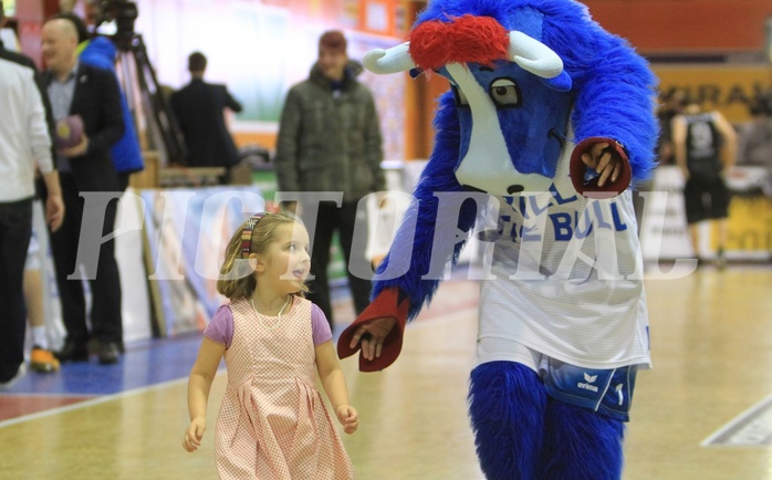 Basketball ABL 2015/16 Grunddurchgang 29.Runde Kapfenberg Bulls vs. Traiskirchen Lions