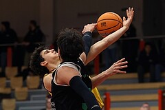 Basketball Zweite Liga 2024/25, Grunddurchgang 12.Runde Traiskirchen Lions NextGen vs. Deutsch Wagram Alligators