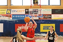 Basketball Superliga 2024/25, SLWU16 Traiskirchen Lionesses vs. DBK Steyrer Witch Cadets


