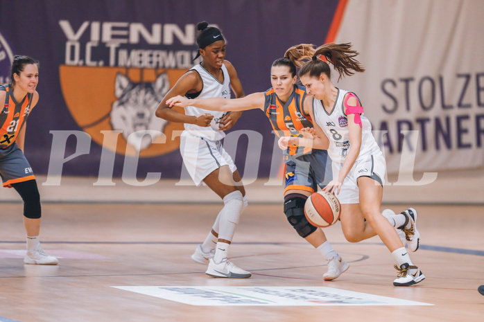 Basketball Basketball Superliga 2020/21, Grunddurchgang 10.Runde Vienna D.C. Timberwolves vs. BK Duchess
