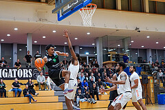 Basketball Zweite Liga 2024/25, Grunddurchgang 6.Runde Kufstein Towers vs. Deutsch Wagram


