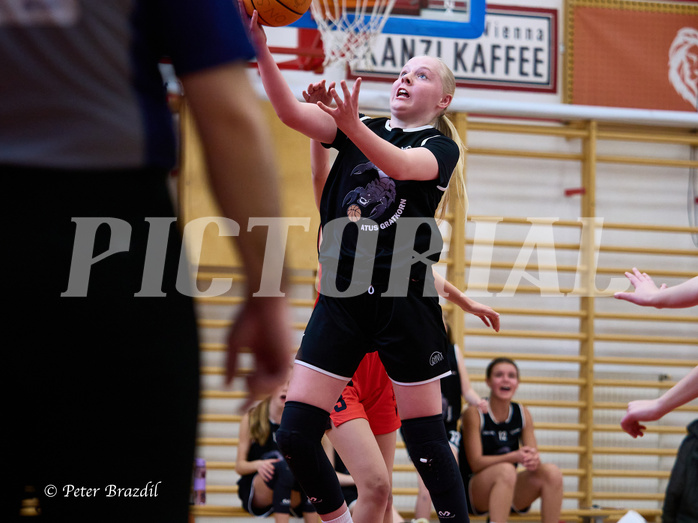 Basketball Superliga 2024/25, SLWU14 Traiskirchen Lionesses vs. Gratkorn Scorpions



