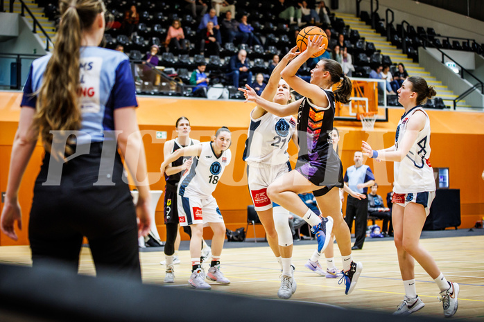 Basketball, Win2Day Basketball Damen Superliga 2023/24, Grunddurchgang 12.Runde, Vienna Timberwolves, Vienna United, Petra Pammer (21), Klara Brunner (25)
