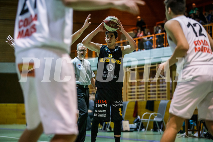 Basketball, Basketball Zweite Liga, Grunddurchgang 18.Runde, BBC Nord Dragonz, Jennersdorf Blackbirds, Bernhard Koch (8)