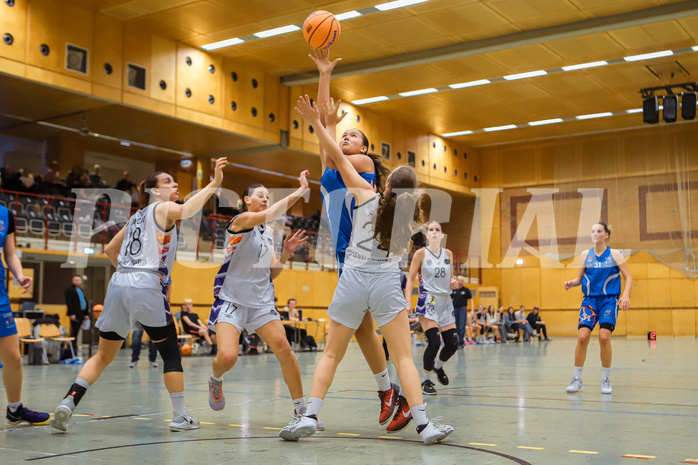 Basketbal lAustria Cup 2024/25, Viertelfinale Vienna United vs. DBB Wels


