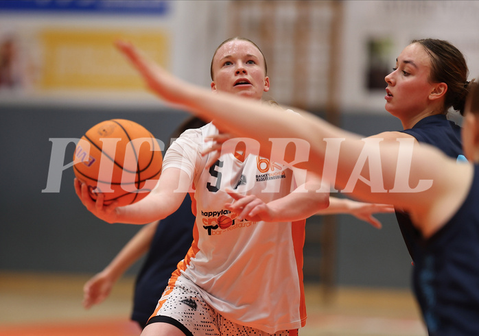 Basketball Superliga SLMU19 Basket Duchess vs. Vienna Timberwolves


