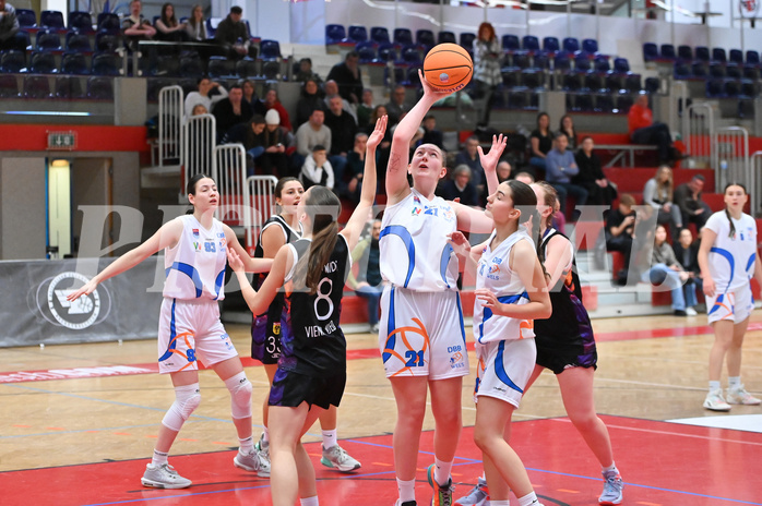 Basketball Superliga 2024/25, Grunddurchgang 9.Runde, DBB Wels vs Vienna United,


