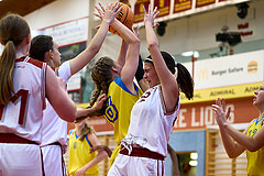 Basketball Superliga 2024/25, SLWU16 Traiskirchen Lionesses vs. UBBC Herzogenburg


