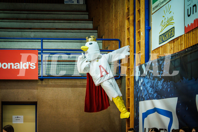 Basketball, Basketball Austria Cup 2022/23, Damen Finale, UBI Graz, BK Raiffeisen Duchess, #mascot