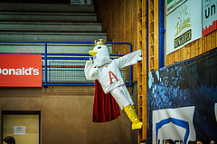 Basketball, Basketball Austria Cup 2022/23, Damen Finale, UBI Graz, BK Raiffeisen Duchess, #mascot
