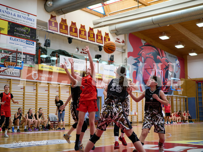 Basketball Superliga 2024/25, SLMU16 Traiskirchen Lionesses vs. VKL Vikings Kammer


