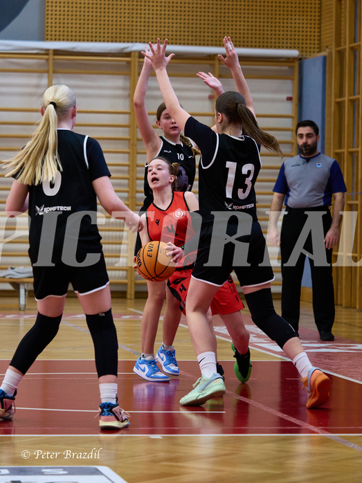 Basketball Superliga 2024/25, SLWU14 Traiskirchen Lionesses vs. Gratkorn Scorpions



