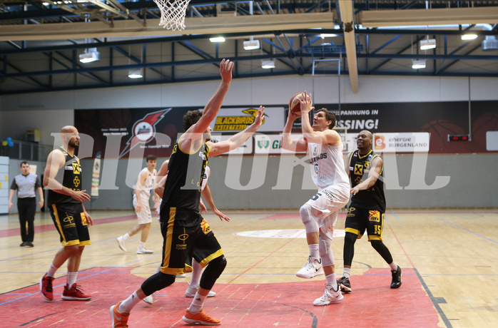 Basketball Zweite Liga 2020/21, Finale Spiel 3 Jennersdorf Blackbirds vs. Fürstenfeld Panthers
Basketball Zweite Liga 2020/21, Finale Spiel 3 Jennersdorf Blackbirds vs. Fürstenfeld Panthers