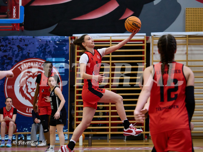 Basketball Superliga 2024/25, SLWU16 Traiskirchen Lionesses vs. BBC Nord Dragons


