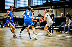Basketball, Win2Day Basketball Damen Superliga 2023/24, Grunddurchgang 12.Runde, Basket Flames, DBB LZ OÖ, Stella Popp (4)