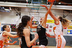 Basketball Damen Superliga 2024/25, Grunddurchgang 6.Runde BK Duchess Klosterneuburg vs. Basket Flames


