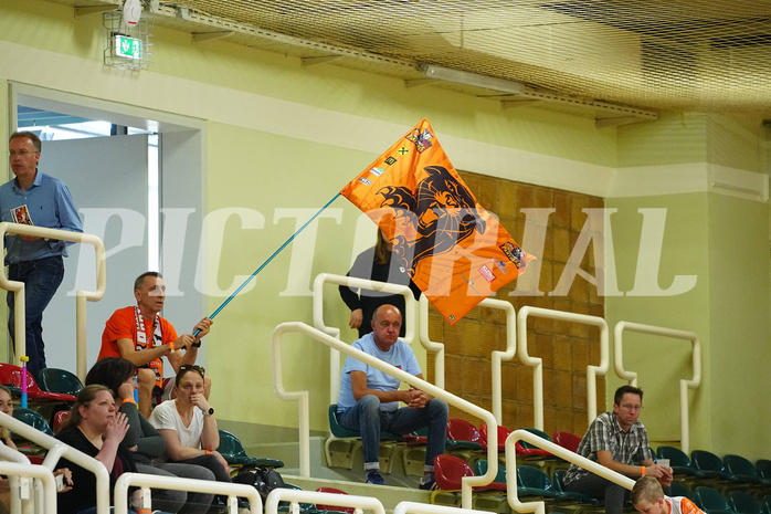 Win2day Basketball Superliga 2023/24, 9. Qualifizierungsrunde, Fürstenfeld vs. Timberwolves


