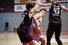 Basketball 2. Liga 2024/25, Grunddurchgang 20.Runde , Güssing vs. Mistelbach