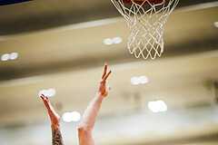 Basketball, Win2Day Superliga 2023/24, 1. Qualifikationsrunde, Vienna Timberwolves, Fürstenfeld Panthers, Philipp D'Angelo (9)