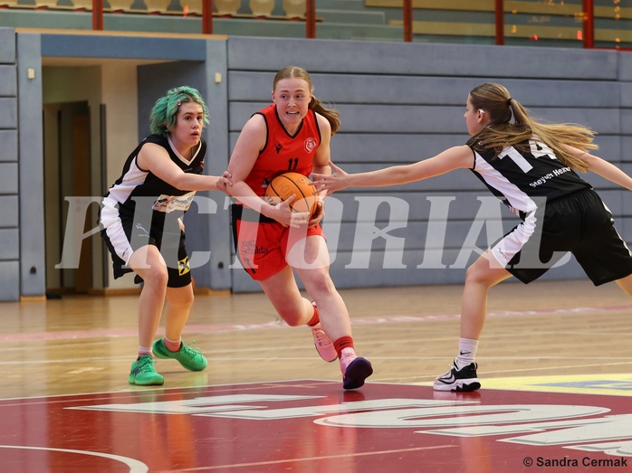 Basketball Superliga 2024/25, SLWU16 Traiskirchen Lionesses vs. DBK Steyrer Witch Cadets


