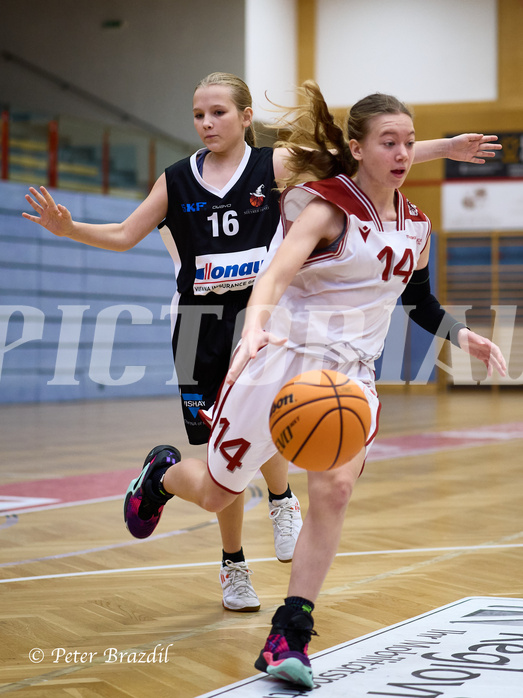 Basketball Superliga 2024/25, SLWU14 Traiskirchen Lionesses vs. DBK Steyrer Witches


