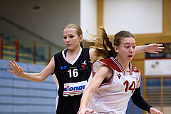 Basketball Superliga 2024/25, SLWU14 Traiskirchen Lionesses vs. DBK Steyrer Witches


