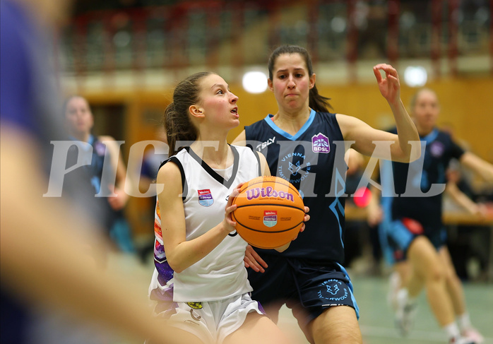 Basketball Damen Superliga 2024/25, Grunddurchgang 6.Runde Vienna United vs. Vienna Timberwolves



