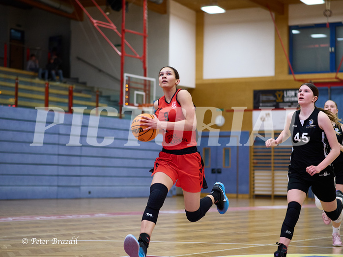 Basketball Superliga 2024/25, SLWU16 Traiskirchen Lionesses vs. BBC Nord Dragons


