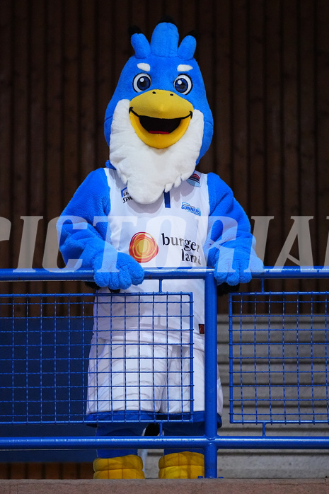 Win2day Basketball Superliga 2023/24, Grunddurchgang, 14. Runde, Oberwart vs. Graz


