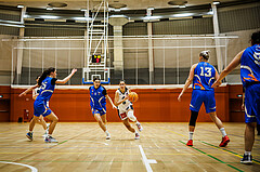 Basketball, Win2Day Basketball Damen Superliga 2023/24, Grunddurchgang 2.Runde, Vienna Timberwolves, DBB LZ OÖ, Aleksandra Novakovic (8)