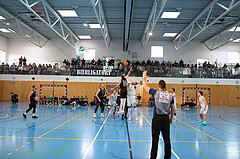 Basketball Zweite Liga 2024/25, Grunddurchgang 19.Runde Union Deutsch Wagram Aligators vs. Mistelbach Mustangs


