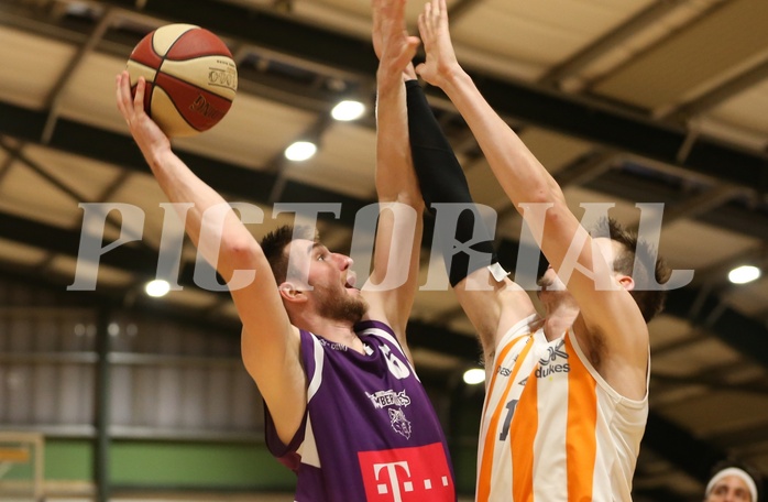 Basketball ABL 2018/19, Grunddurchgang 14.Runde D.C. Timberwolves vs. BK Dukes


