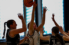 01.03.2025 Österreichischer Basketballverband 2024/25, SLWU16 WAT 3 Capricorns vs. VKL Vikings Swans