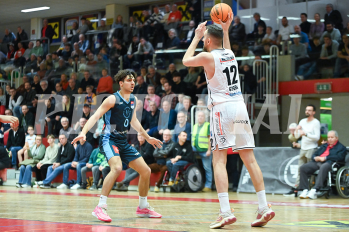 Basketball, Superliga 2023/24, Grunddurchgang 22. Runde, Flyers Wels vs. Vienna Timberwolves,
